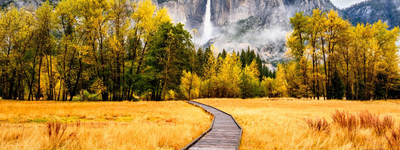 Boardwalk cutting through yellow grass with multicolored trees in the distance and the mountains of Yosemite National Park.